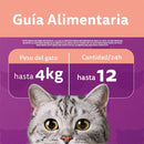 Snack Delicioso para Gato Adulto Salmon 0.08 kg