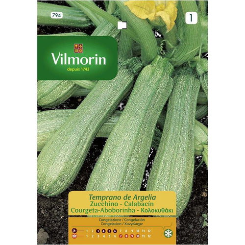 Semilla Zapallo Italiano Arge 3 gr Sachet