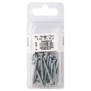 Tarugo con tornillo 6 mm 12 unidades