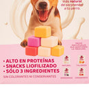 Snack para perros para Perro Todas las edades Sabor a Yogurt natural, arandanos, calabaza y leche de cabra