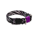 Collar Para Perro Estampado Animal Print Talla S Ajustable