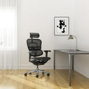 Silla Pc Ergonomica Ergohuman Ultra Malla Negro