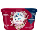 Aromatizante Mini Gel Placer Floral 0.07 Kg