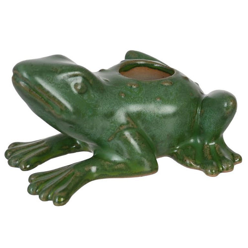 Portavela rana 5 cm green