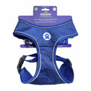 Set Arnes Con Correa Para Perro Talla L