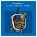 Comida para Gato. Alimento para Gato Adulto Carne 1 kg