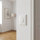 Interruptor conmutador 9/24 s17 Blanco