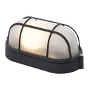 Tortuga De Muro Exterior 60 W Negro