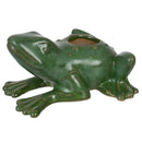 Portavela rana 5 cm green