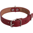 Collar Para Perro 50X2. 5 Cm Mascotas