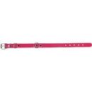 Collar Para Perro 40X2 Cm Accesorio Mascota
