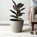 Macetero Redondo De Plastico 24.4X23 Cm Taupe