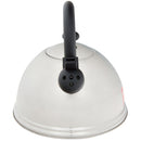 Tetera Casia 3 l Aluminio Plateado
