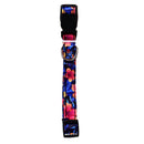 Collar Ajustable Para Perro Talla S Mascotas