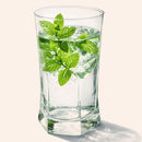 Set 6 Vasos Alto de Vidrio 325 ml Transparente