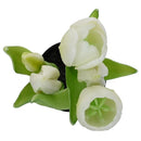 Tulipan Blanco 8 Cm Blanco
