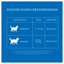Comida para Gato. Alimento para Gato Adulto Carne 1 kg