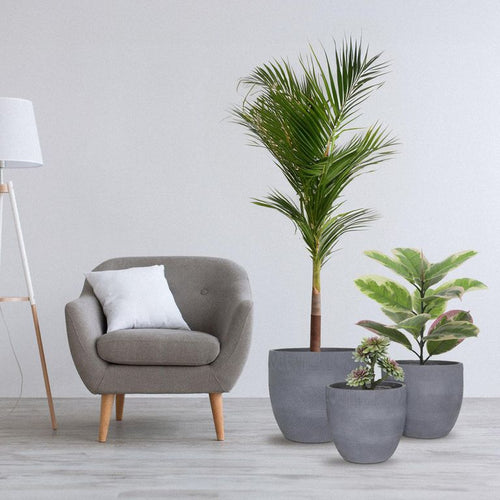 Maceta Viena Plomo 52X47.5 Cm