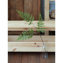 Vara Artificial Helecho 86 Cm Verde