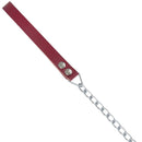 Correa Resistente Para Perro Paseo Seguro 122 Cm