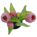 Tulipan Rosado 8 Cm Rosado