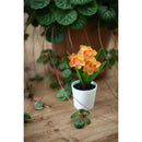 Set 3 Plantas Artificiales Mix de Flores 16 cm Colores Surtidos
