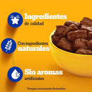 Alimento Humedo para Perro Cachorro Carne 0.1 kg