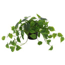 Planta Artificial Pothus 40 Cm Verde