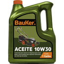 Aceite motor 4 tiempos - 10W30 - 3,8 L