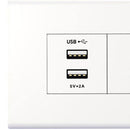 Enchufe 10A + Usb Clio Blanco