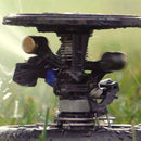 Aspersor Ag5 Maxi Paw