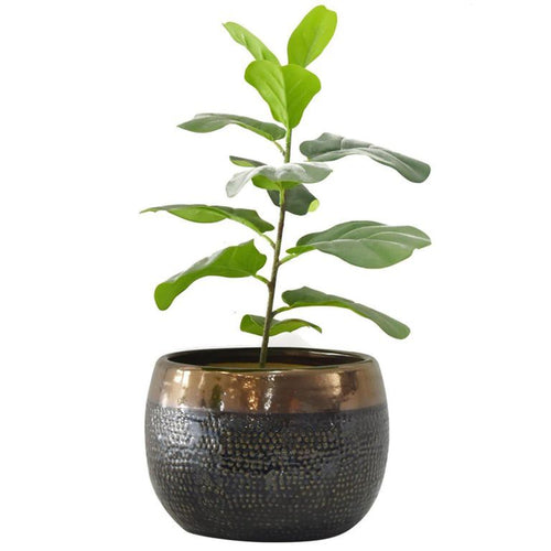 Macetero Aisea De Ceramica 26X16 Cm Oliva Dorado