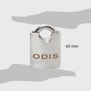 Candado 60 mm Gris con Llaves