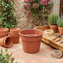 Macetero De Plastico 17 Cm