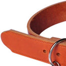 Collar Para Perro Ajustable Con Hebilla Metalica