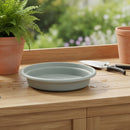 Plato Base Macetero No6 15 Cm Jardin