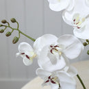 Planta Artificial Orquidea 48 cm Blanco