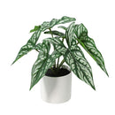 Planta Artificial 25 cm Verde; Blamco