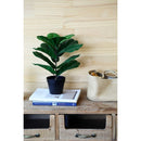 Planta Artificial Ficus Lyrata 40 cm Verde