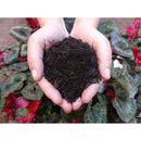 Tierra de hojas 40 l