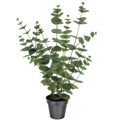 Planta Artificial Eucaliptus 59 cm Verde