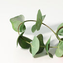 Vara Artificial Eucalipto 75 Cm Verde