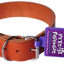 Collar Para Perro Ajustable Con Hebilla Metalica