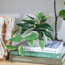 Planta Artificial Hoya 50 cm Verde