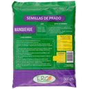 Semilla de Pasto Manquehue 0.5 kg Bolsa