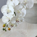 Vara Artificial Orquidea 78 cm Blanco