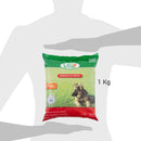 Semilla de Pasto Estadio 1 kg Bolsa