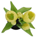 Tulipan Amarillo 8 Cm Amarillo