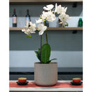 Macetero Denver de Plastico 22x20 cm Beige