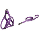 Set Arnes Correa Talla M Para Perro Mediano